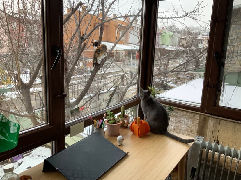 How do we fall in love with cities?