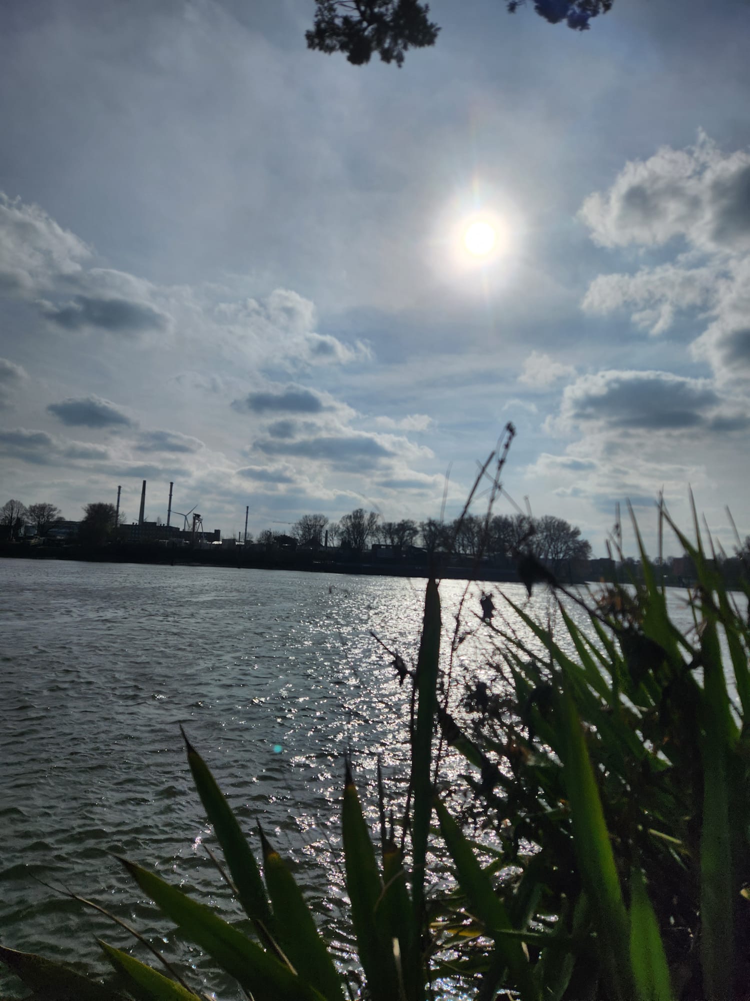 Notes from the Banks of the Elbe