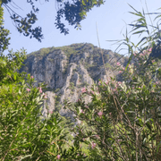 Çıralı Doğası